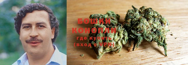 спайс Аркадак