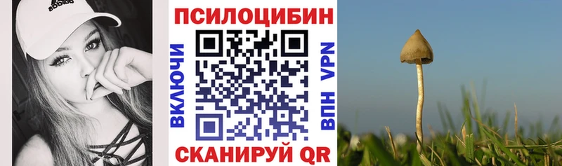 мега онион  Лукоянов  Галлюциногенные грибы MAGIC MUSHROOMS  закладка 